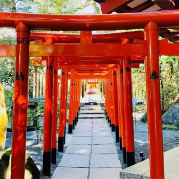来宮神社の風景